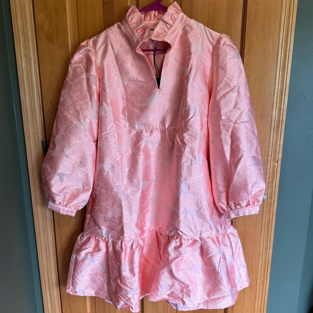 Tuckernuck NEW Bellini Fil Coupe Pink Drop Waist Formal Palmerston Dress XL